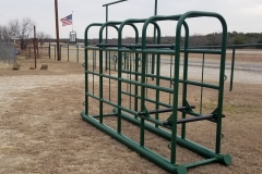 Cattle holding chute